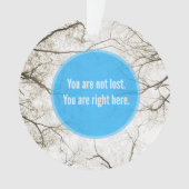 Mensonges de dépression (devant)