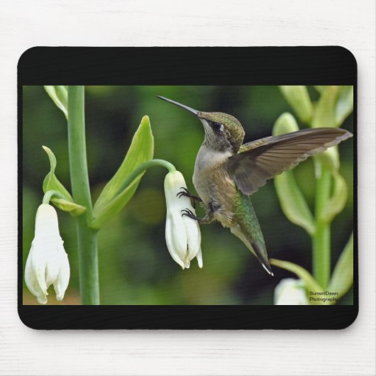 mensvogel muismat (Voorkant)