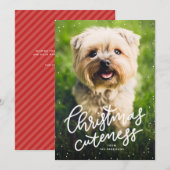 Mention de Noël jolie carte de vacances pour anima (Devant / Derrière)