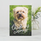 Mention de Noël jolie carte de vacances pour anima (Debout devant)