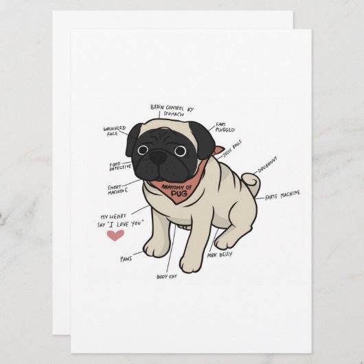 Menu Anatomie Du Chien Carlin Graphique (Devant / Derrière)