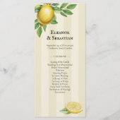 Menu Aquarelle Citrus Citrus Mariage rustique (Devant)