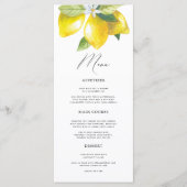 Menu Aquarelle Lemon Méditerranéen (Devant)