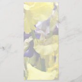 Menu Assortiment d'iris jaune et violet (Dos)