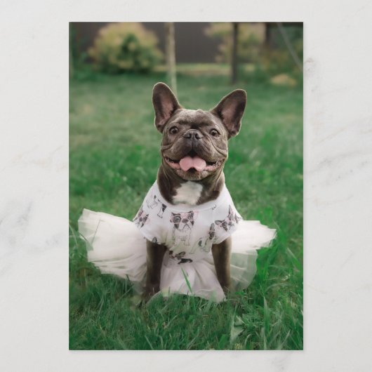 Menu Bar Bulldog (Dos)