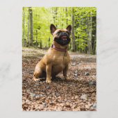 Menu Bar de chien bouledogue français brun (Dos)