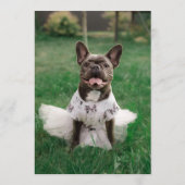 Menu Bar de French Bulldog Noir (Dos)