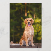 Menu Bar du Golden Retriever (Dos)