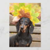 Menu Barre Dachsund (Dos)