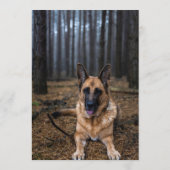 Menu Barre de Berger Allemand (Dos)