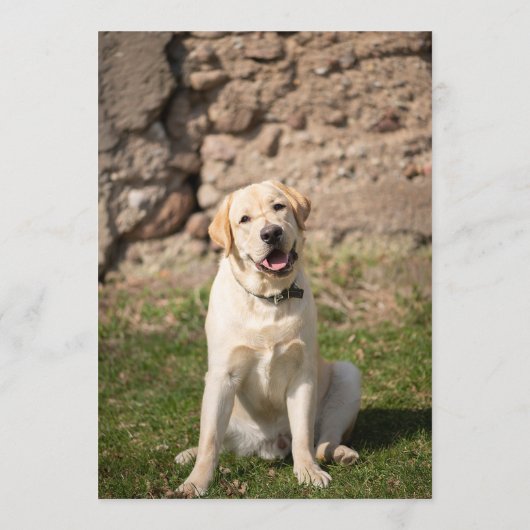 Menu Barre de laboratoire jaune (Dos)