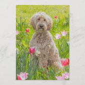 Menu Barreau Croisé Doré (Dos)