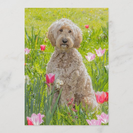 Menu Barreau Croisé Doré (Dos)