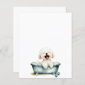 Menu blanc de chien Bichon Frise (Devant / Derrière)