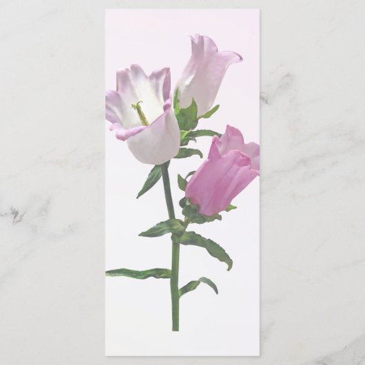 Menu Campanules roses (Dos)