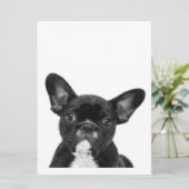Menu Chien adorable | Black French Bulldog Face (Debout devant)