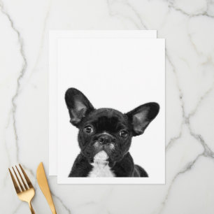 Menu Chien adorable Black French Bulldog Face