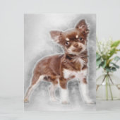 Menu Chihuahua looking at camer_Dog Lover (Debout devant)