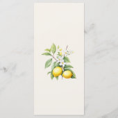 Menu Citrons Italiens (Dos)
