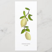 Menu Citrons peints au Citrus frais Méditerranéen Moder (Dos)