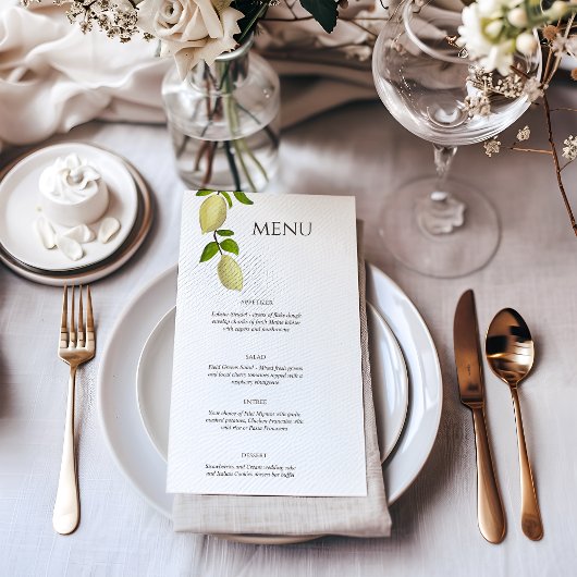 Menu Citrons peints au Citrus frais Méditerranéen Moder