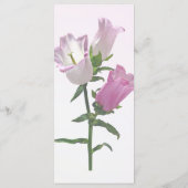 Menu Cloche de Canterbury rose (Dos)