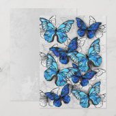 Menu Composition des White and Blue Butterflies (Devant / Derrière)