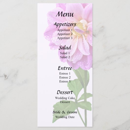 Menu Dahlia Rose Avec Dew (Devant)
