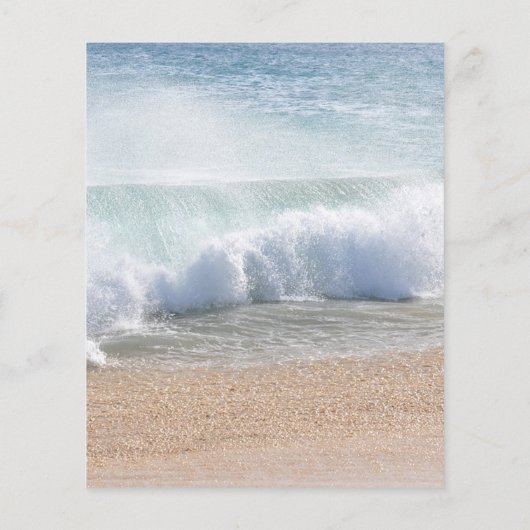 Menu de mariage estival tropical sur une belle pla (Dos)