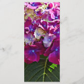 Menu Deux Hydrangeas Roses (Dos)