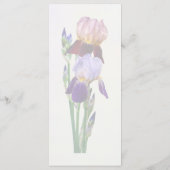 Menu Deux Iris Barbus Un Marron Un Pourpre (Dos)