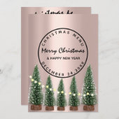 Menu d'hiver de vacances de Noël Rose vert clair (Devant / Derrière)