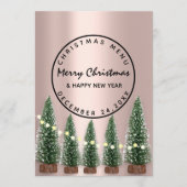 Menu d'hiver de vacances de Noël Rose vert clair (Devant)