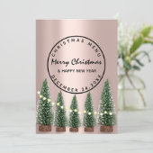 Menu d'hiver de veille de Noël Rose vert clair (Debout devant)