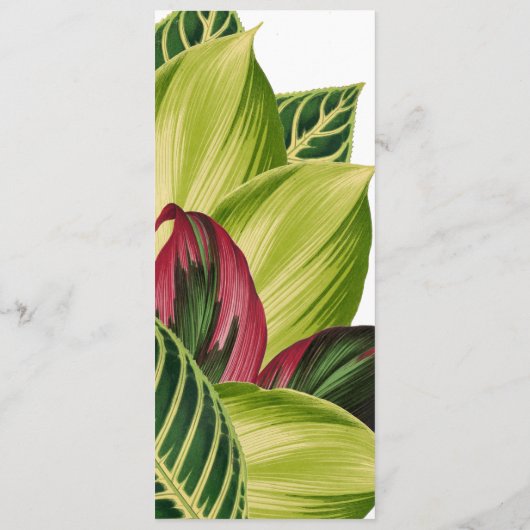 Menu Feuilles Tropicales (Dos)