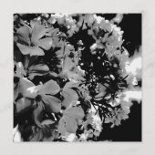 Menu floral drapé blanc (Dos)