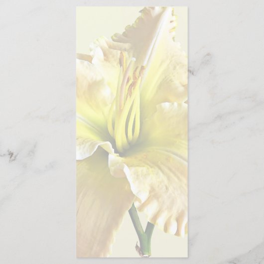 Menu Fournitures de mariage Lys du jour jaune (Dos)