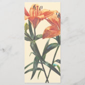 Menu Groupe de lys orange (Dos)