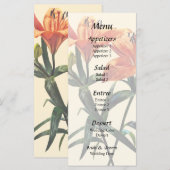 Menu Groupe de lys orange (Devant / Derrière)