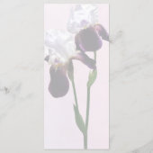 Menu Iris amoureux (Dos)