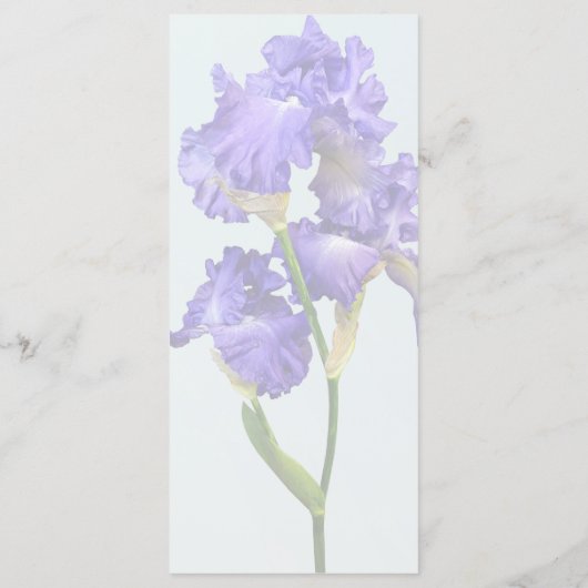 Menu Iris triple pourpre (Dos)