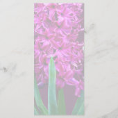 Menu Jacinthe Magenta (Dos)