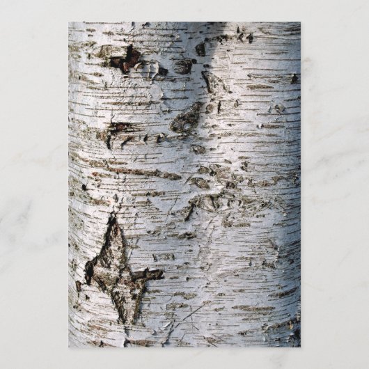 Menu La collection de Mariages Rustic Silver Birch Tree (Dos)