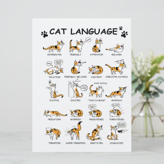 Menu Langue de chat, Drôle Chat Kitten, Aimer Idée cade (Debout devant)