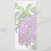 Menu Lilas en fleurs (Dos)