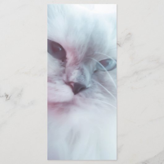 Menu Lilly Signet (Dos)