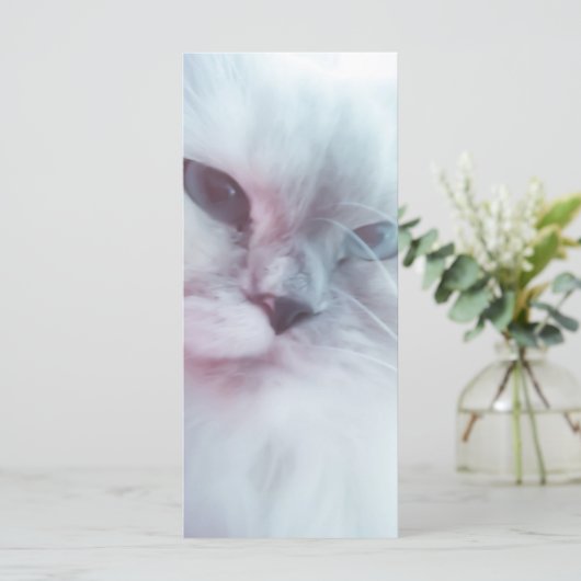 Menu Lilly Signet (Debout devant)