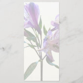 Menu Lily Péruvien Violet (Dos)