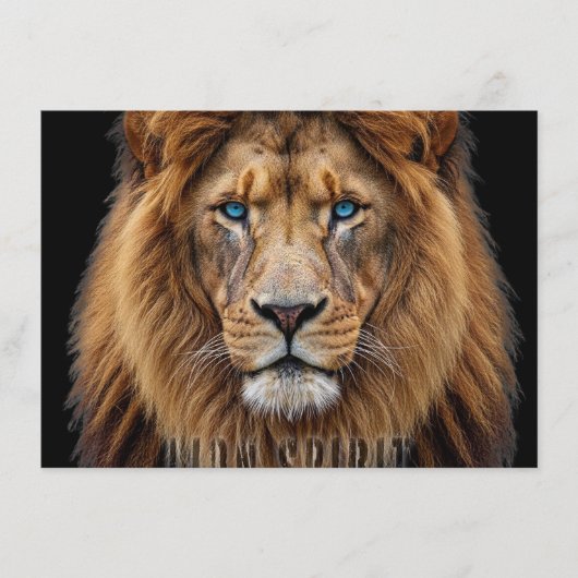 Menu Majestic Lion Face with Blue Eyes | Wildlife Anima (Devant)