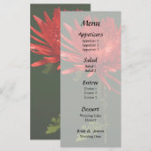 Menu Maman Araignée Rouge (Devant / Derrière)